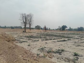Bare trees on field against sky