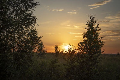 Silhouette trees on field against sky during sunset