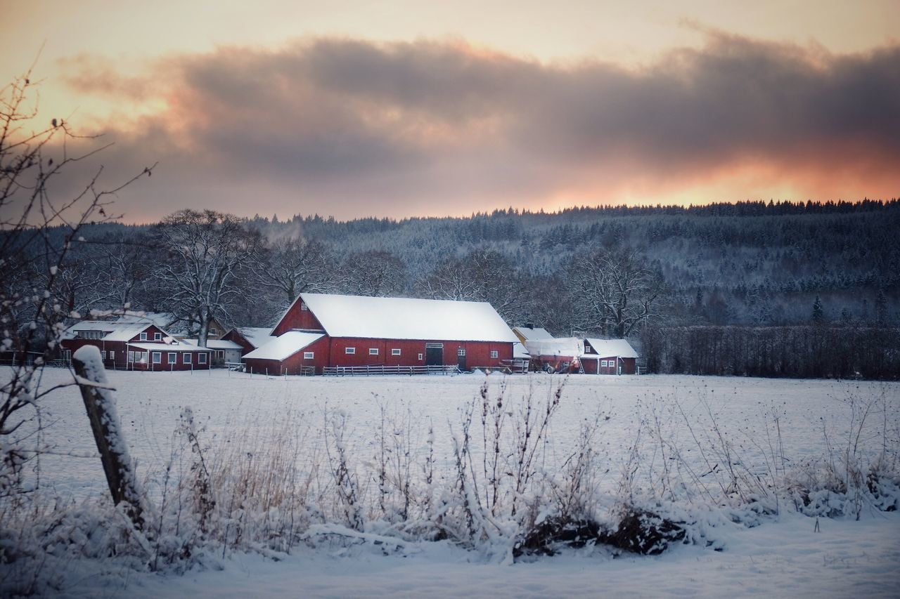 SNOW ON FIELD AGAINST SKY DURING WINTER