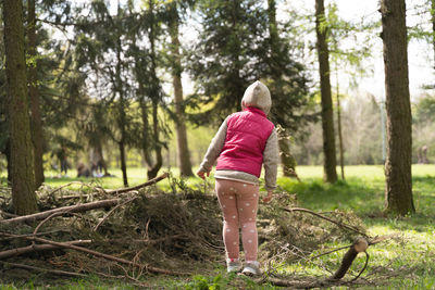 Rear view of woman walking in forest