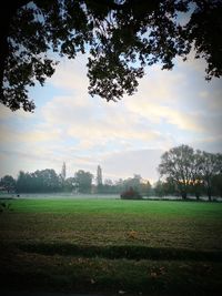 Scenic view of field against sky