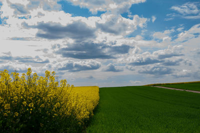 Scenic view of field against cloudy sky