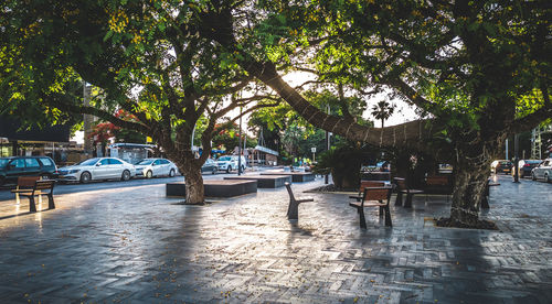 People on footpath by street in city