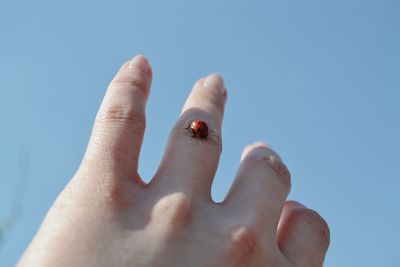 Close-up of hand against clear blue sky