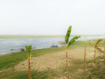 Scenic view of sea against clear sky