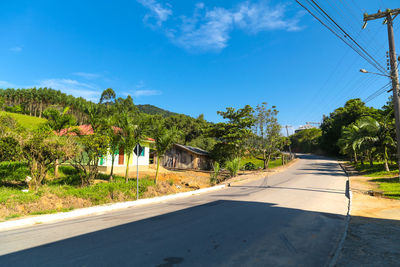 Empty road along trees