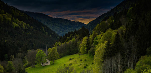 Scenic view of forest against sky at sunset
