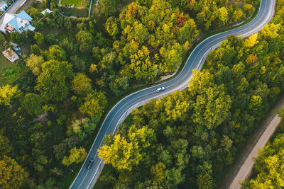 High angle view of road amidst trees