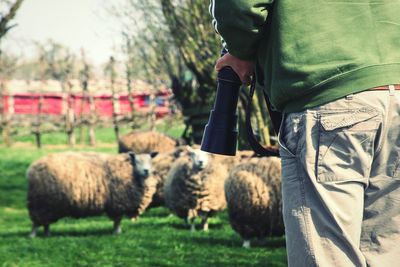 Photographer with camera in hand standing next to flock of sheep