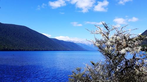 Scenic view of sea against blue sky