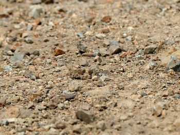 Full frame shot of textured surface