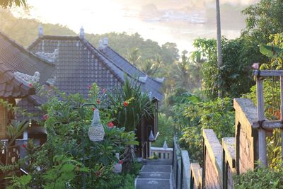 Potted plants on staircase