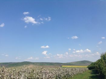 Scenic view of landscape against clear sky