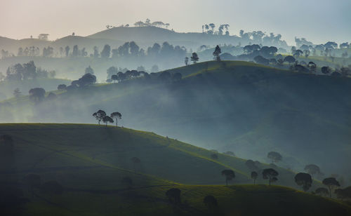 Scenic view of rolling landscape against sky