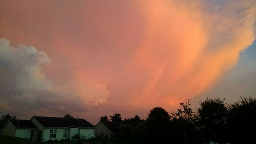 Silhouette of trees against dramatic sky