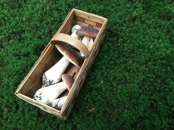 Built structure on grassy field
