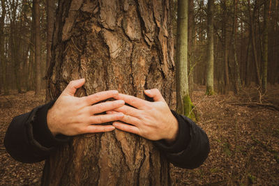 Close-up of man embracing tree trunk in forest