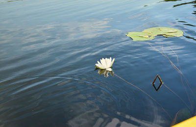 Close-up of water