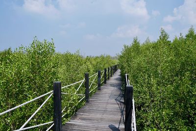 Footbridge amidst trees against sky