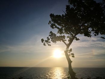 Silhouette tree by sea against sky during sunset