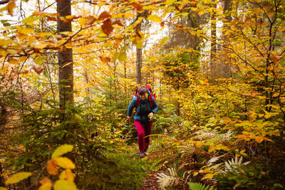 Full length of man walking in forest during autumn