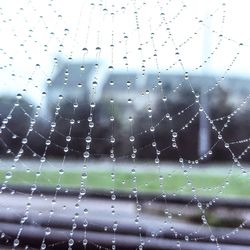 Close-up of water drops on spider web against sky