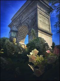 Low angle view of flowering plant against building