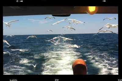 Scenic view of sea during sunset