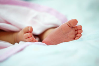 Low section of baby feet on bed