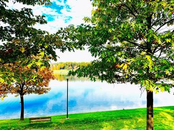 Trees by lake against sky