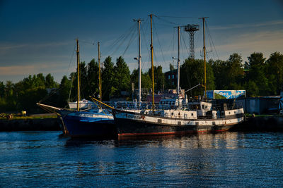 Sailboats moored in harbor against sky