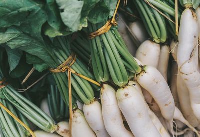 Directly above shot of radishes for sale at market stall