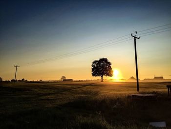 Silhouette trees on field against clear sky during sunset