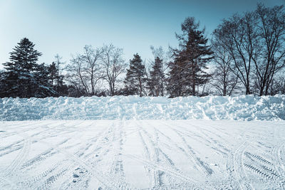 Trees on snow covered field against sky