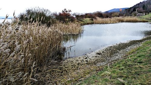 Scenic view of lake against sky