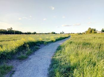 Road amidst field against sky