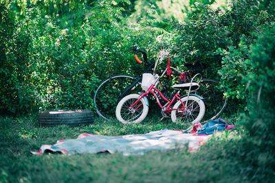 Bicycle parked by tree on field