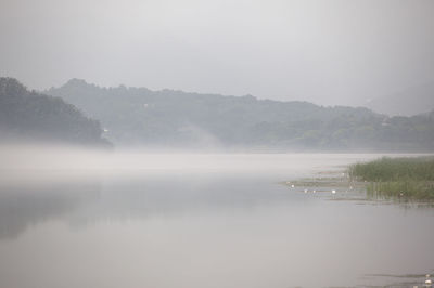 Scenic view of sea during foggy weather