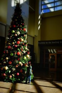View of illuminated christmas tree