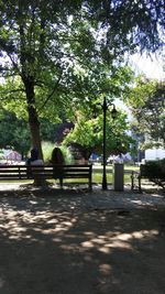 People sitting on bench in park