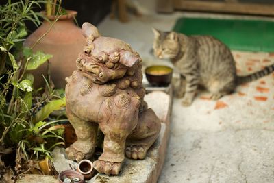 Shisa statue and tabby cat.