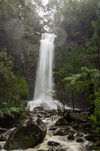 Scenic view of waterfall in forest