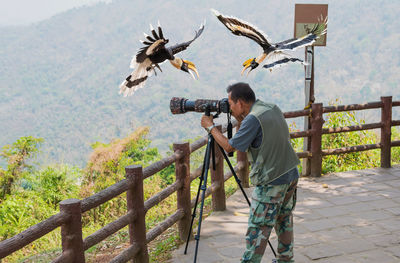 Man photographing birds on railing