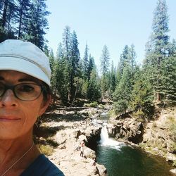 Portrait of man in sunglasses at forest