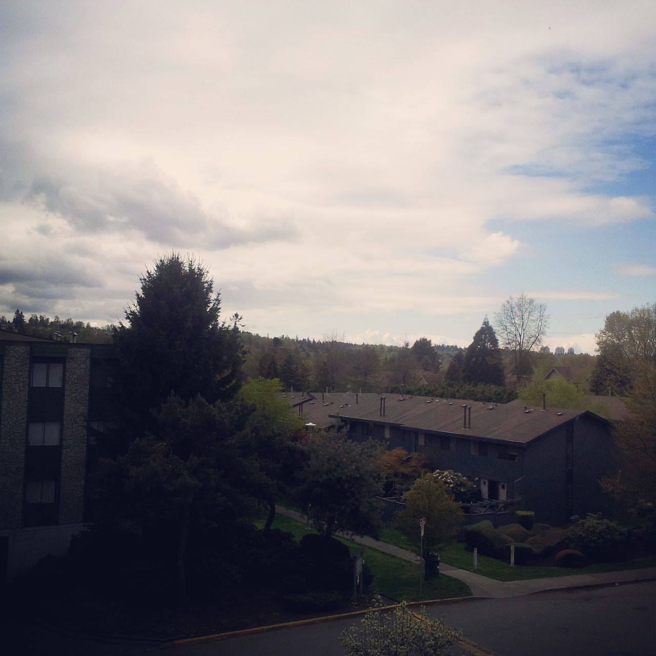 sky, tree, built structure, building exterior, architecture, cloud - sky, house, cloud, road, cloudy, street, nature, the way forward, tranquility, outdoors, growth, transportation, landscape, no people, day