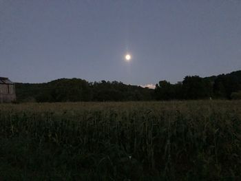 Scenic view of field against clear sky at night