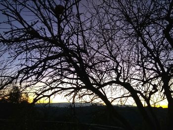 Low angle view of silhouette bare trees on field against sky