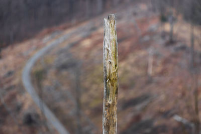 Close-up of rusty metal