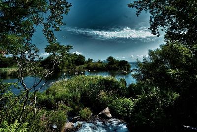 Scenic view of lake in forest against sky