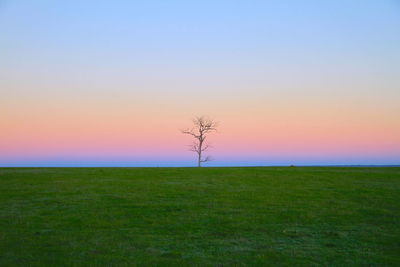 Scenic view of field against sky during sunset